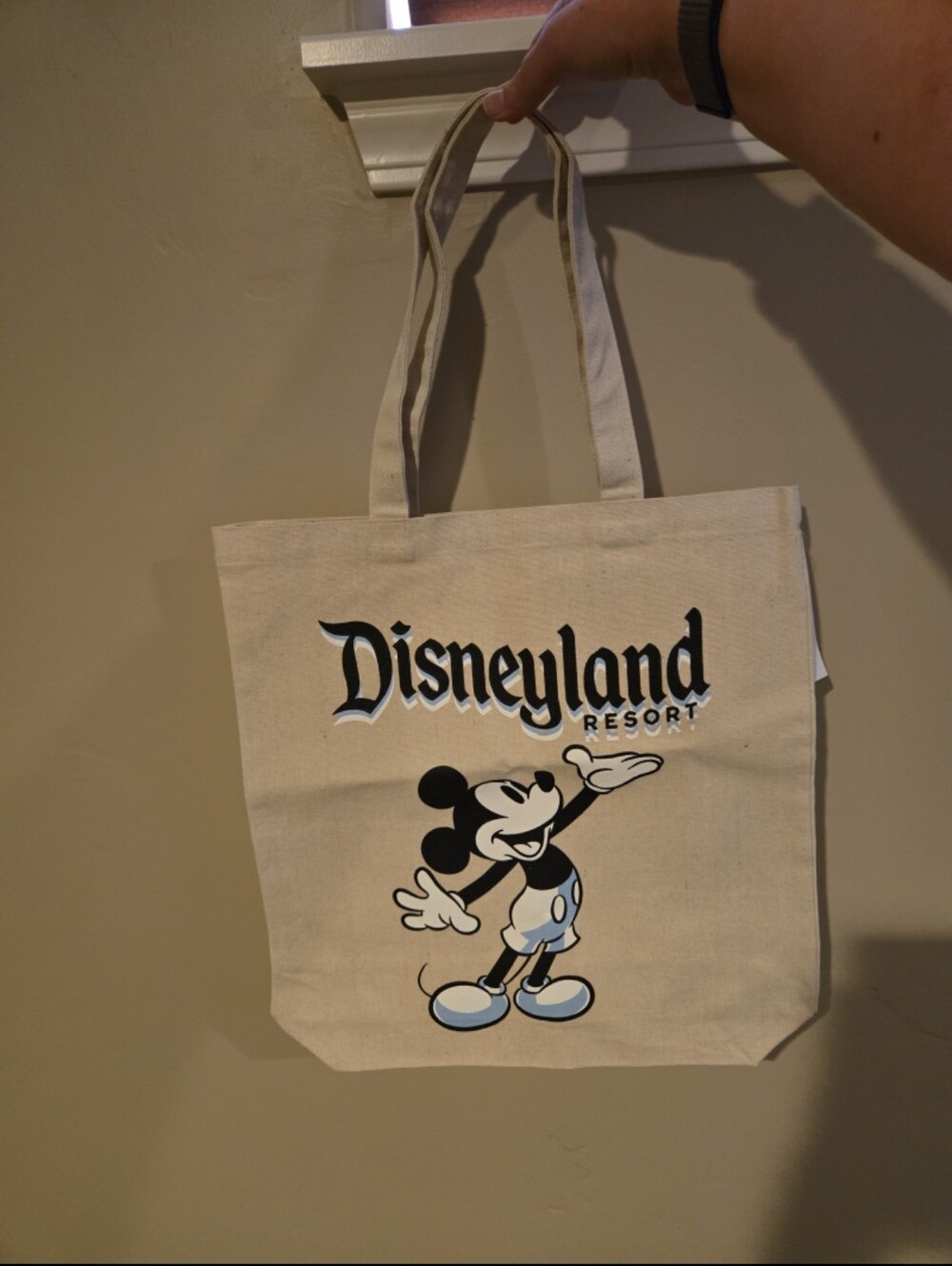 Disney Beige Canvas Disneyland Resort Mickey Tote Bag